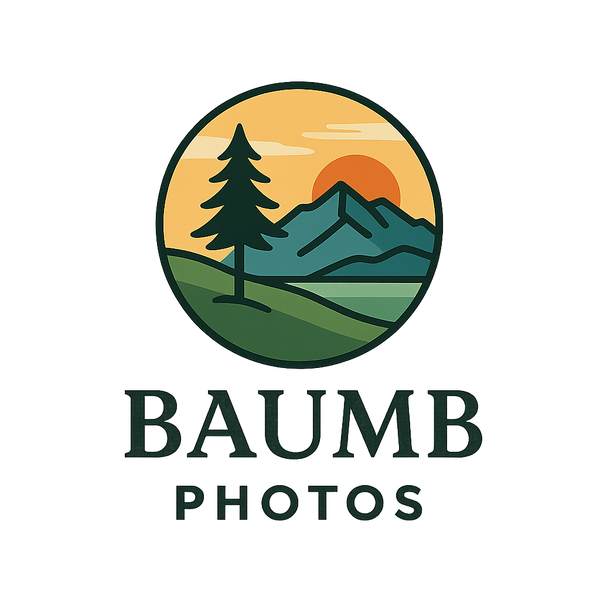 My Store